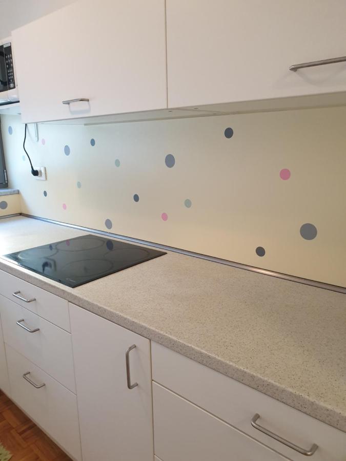 Apartment Emma Ljubljana - Free Parking, Ac, Wifi ภายนอก รูปภาพ