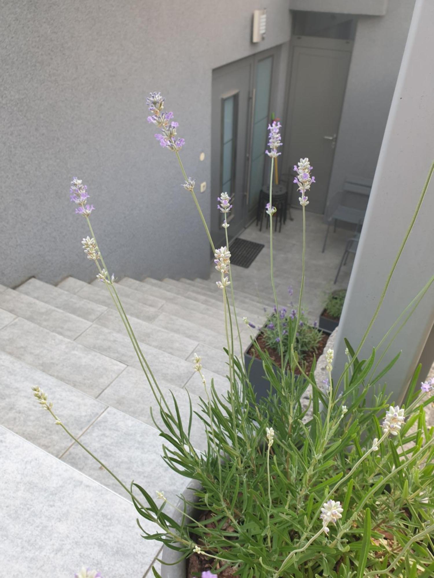 Apartment Emma Ljubljana - Free Parking, Ac, Wifi ห้อง รูปภาพ